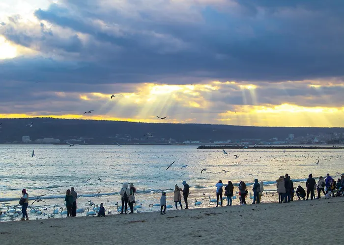 アパート Luxury 2br Retreat In